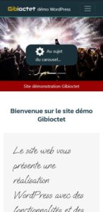 vue du site web sur un smartphone