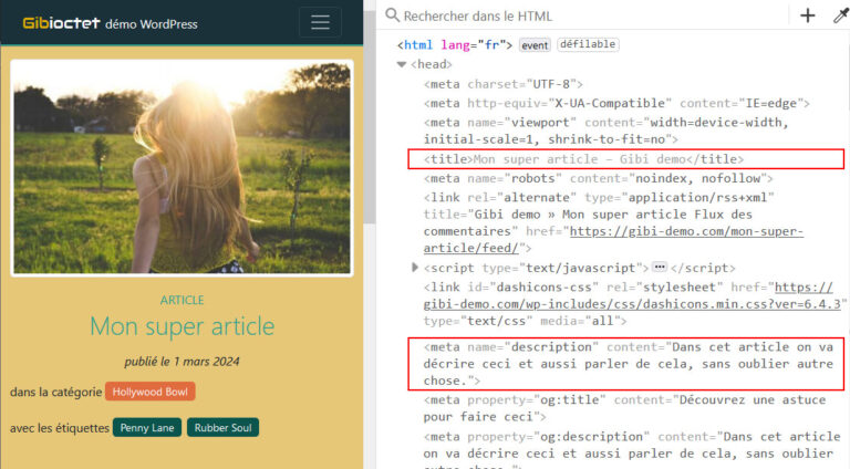 injection des métadonnées dans le code HTML