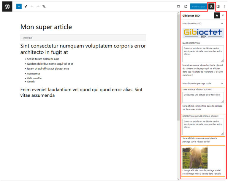 panneau spécifique dans Gutenberg pour les métadonnées du partage social