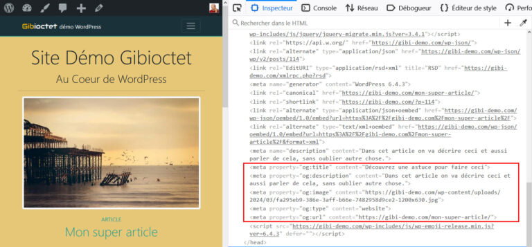 injection des métadonnées dans les balises Open Graph