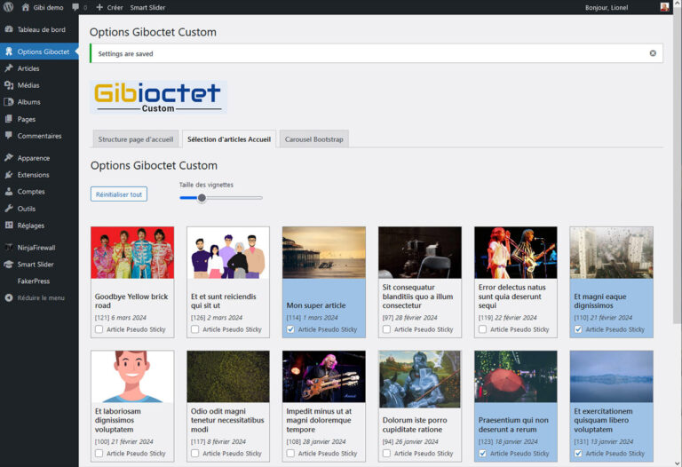 Page d'options spécifique dans WordPress